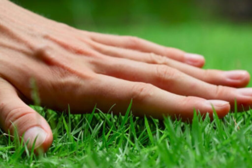 Garden Care