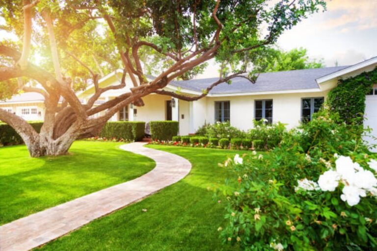 Landscape Designing