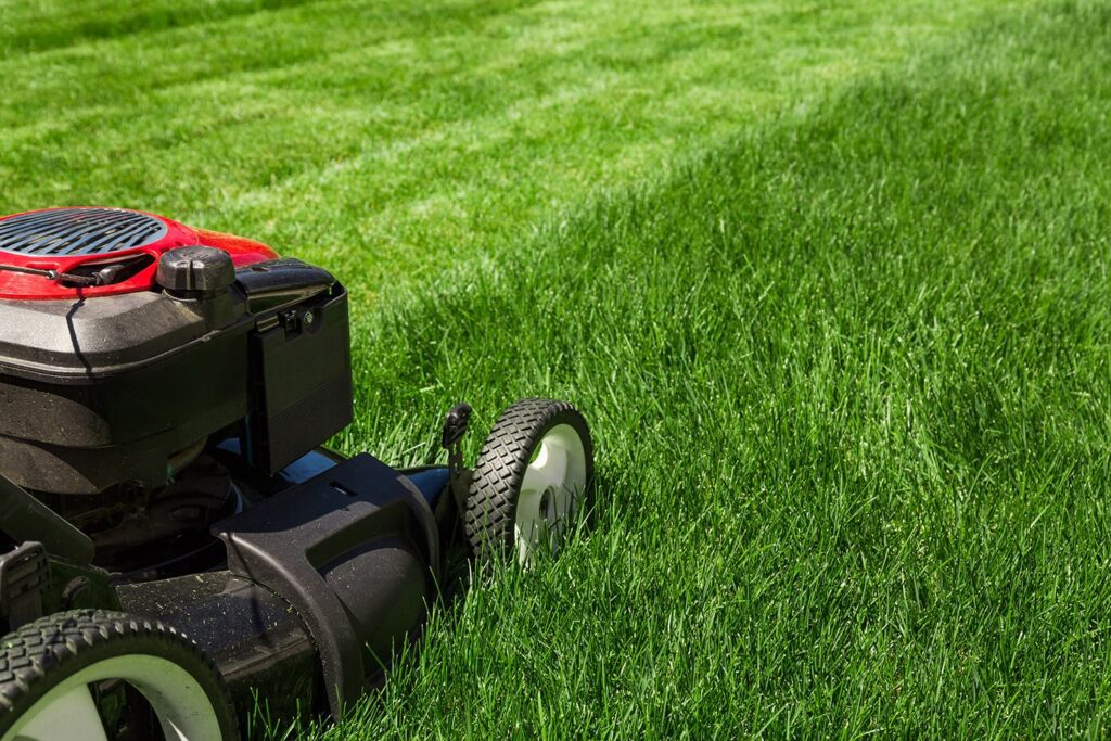 Lawn care consultancy