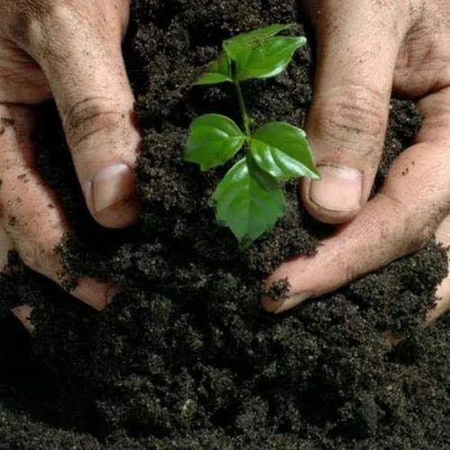 Organic manure