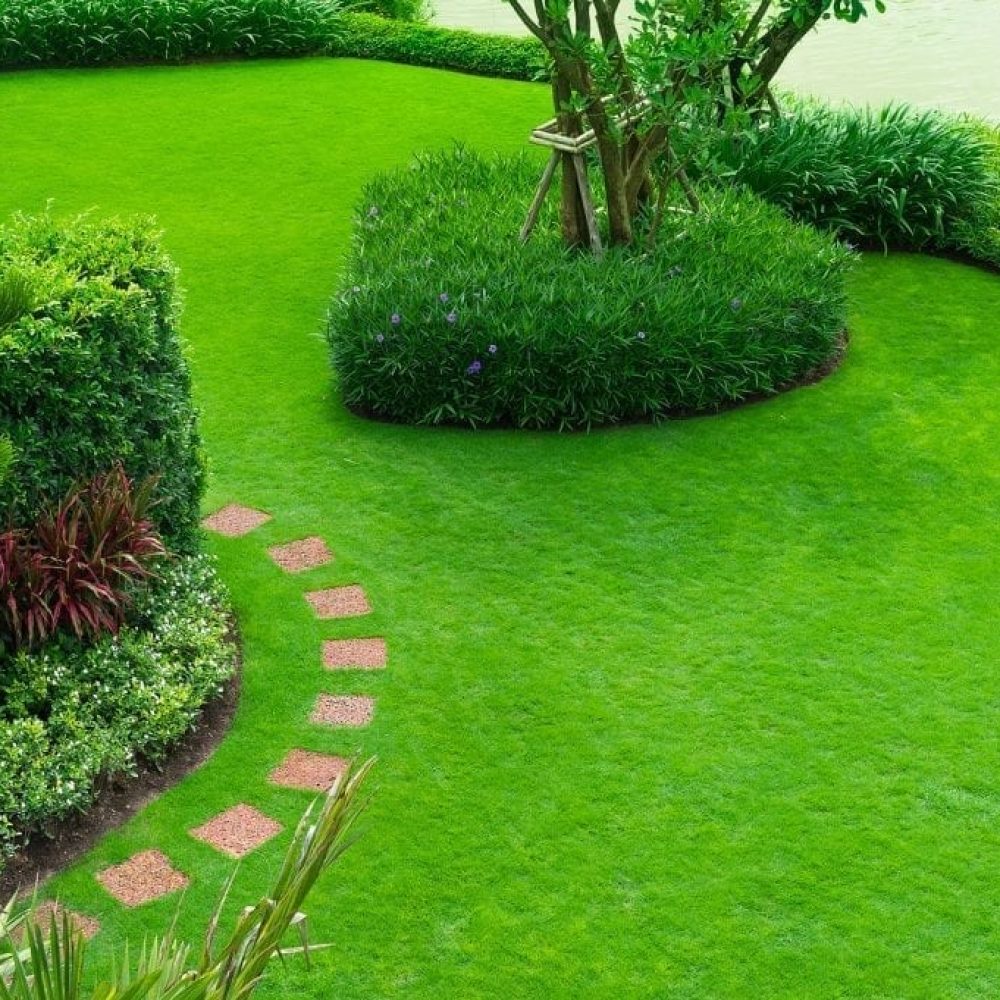 Albuquerque-Lawn-Maintenance-–-10-Steps-to-a-Stunning-Green-Lawn-by-R-S-Landscaping-505-271-8419