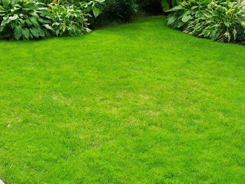 Natural Grass