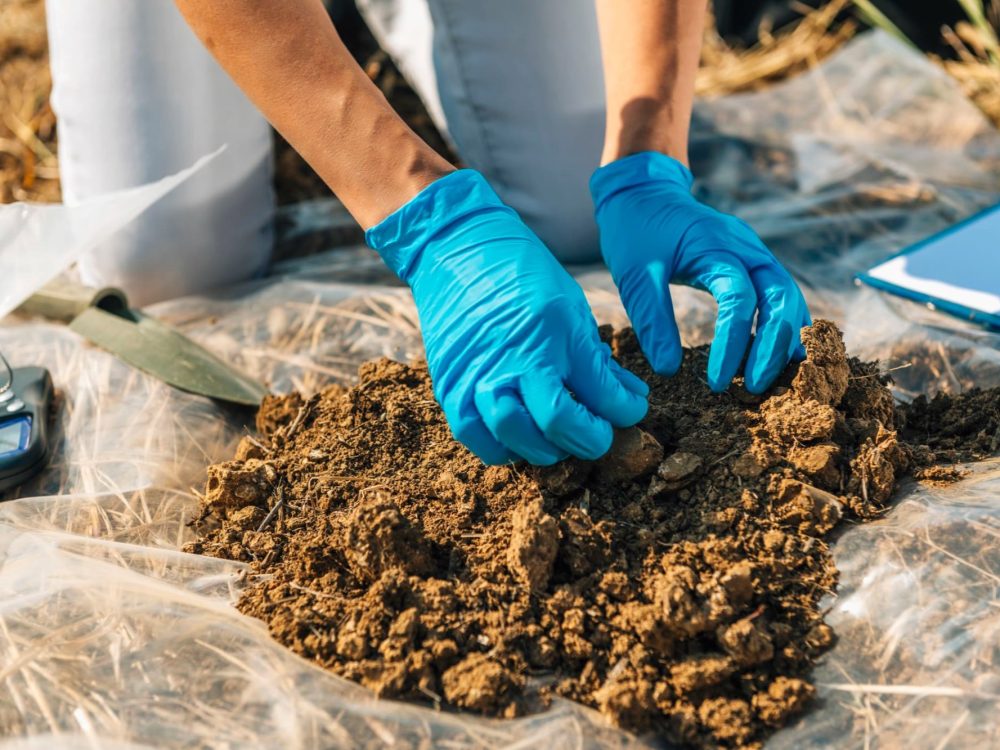 soil-testing-services