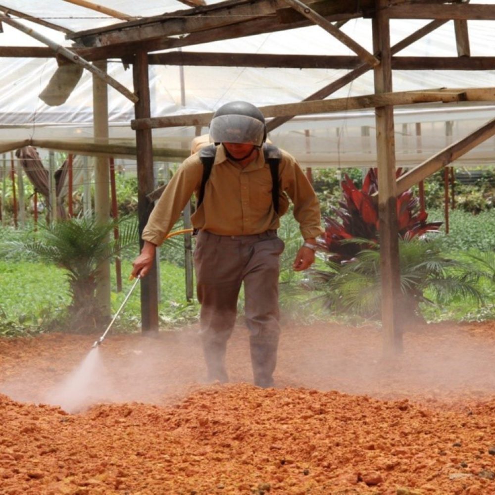 soil-treatment (1)