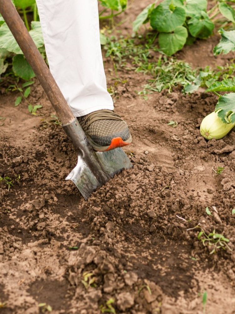 soil-treatment