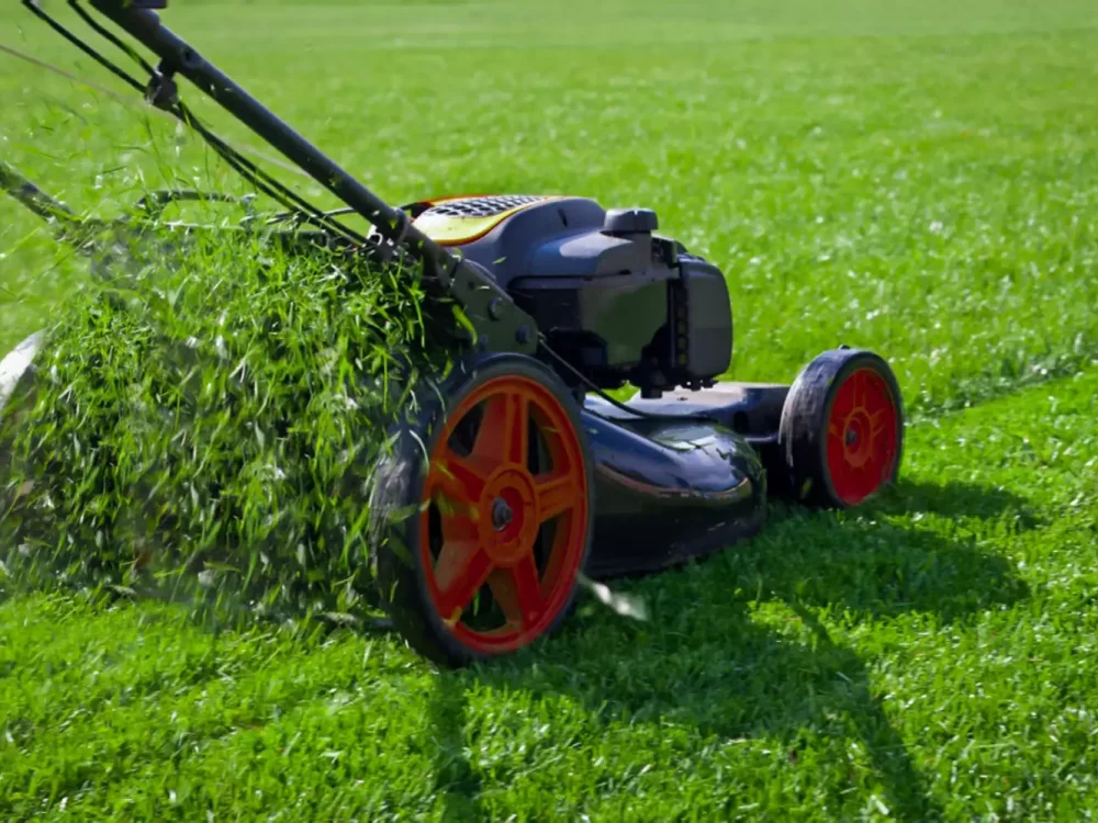 spring-lawn-care-2132455-09-df14429ef98948e69439952f6e7287fa